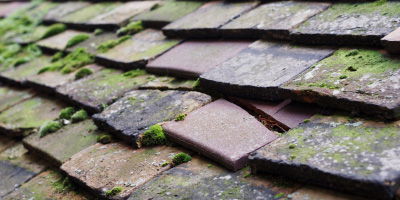 Claverham roof repair costs